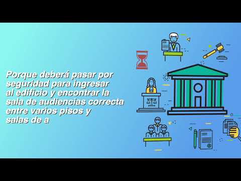 Thumbnail for YouTube Video: What is an MCH?¿Qué es una audiencia preliminar? (Mam)