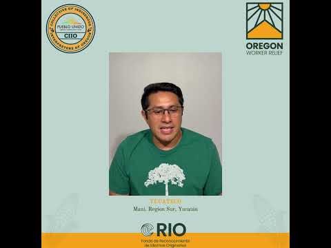 Thumbnail for YouTube Video: Elegibilidad para el fondo de RIO - Yucateco